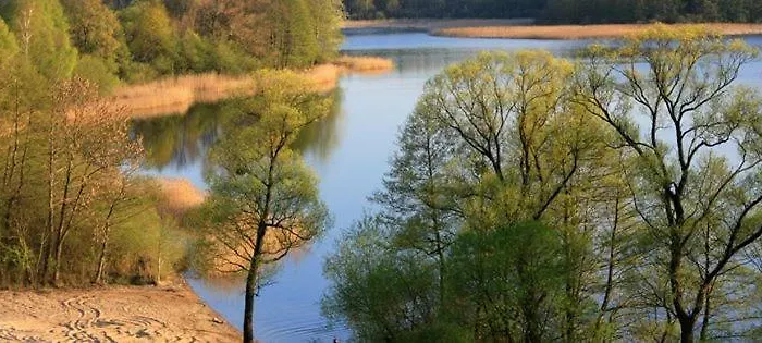 Morelowy Sad Potrzanowo